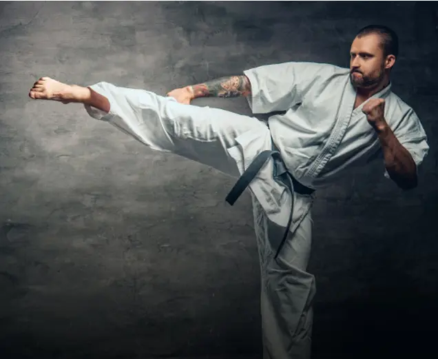 martial-arts-238617-1789209772